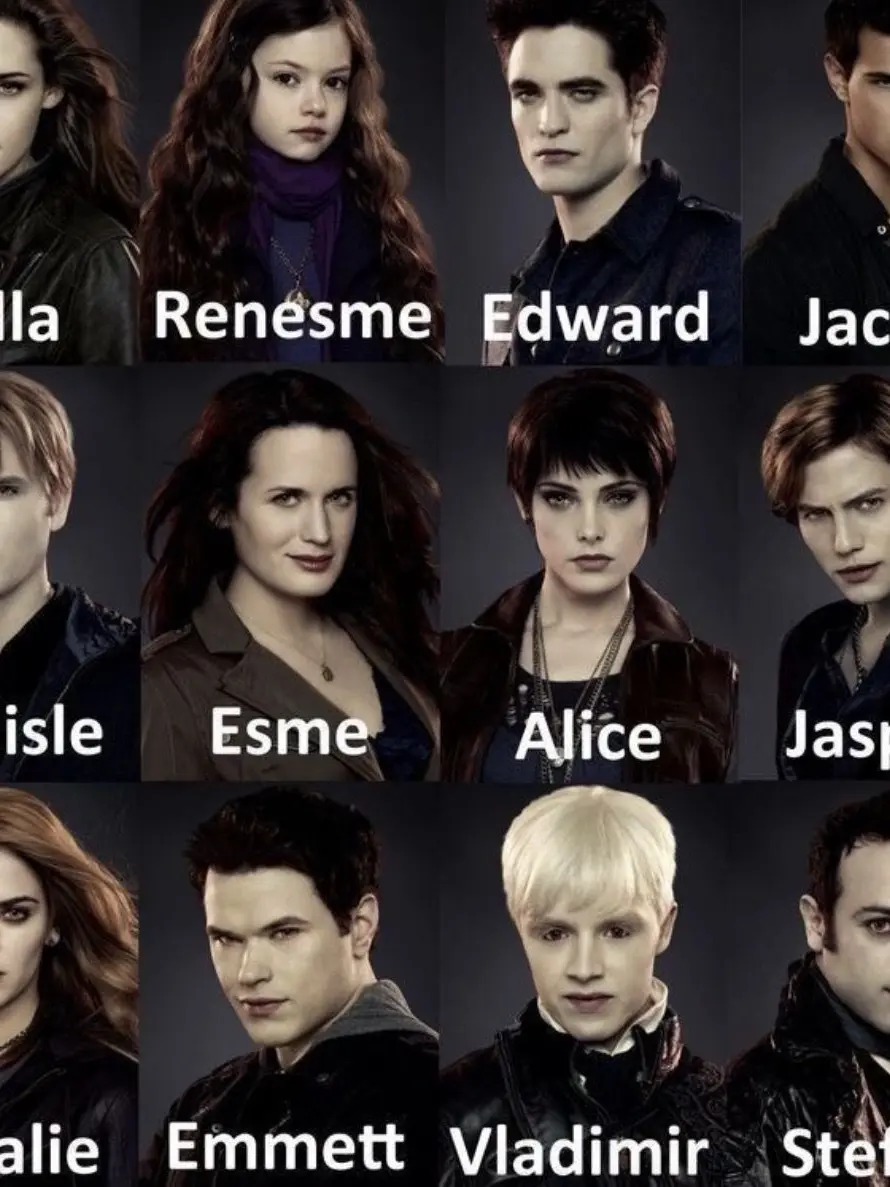 Princess_lovesyou의 Twilight