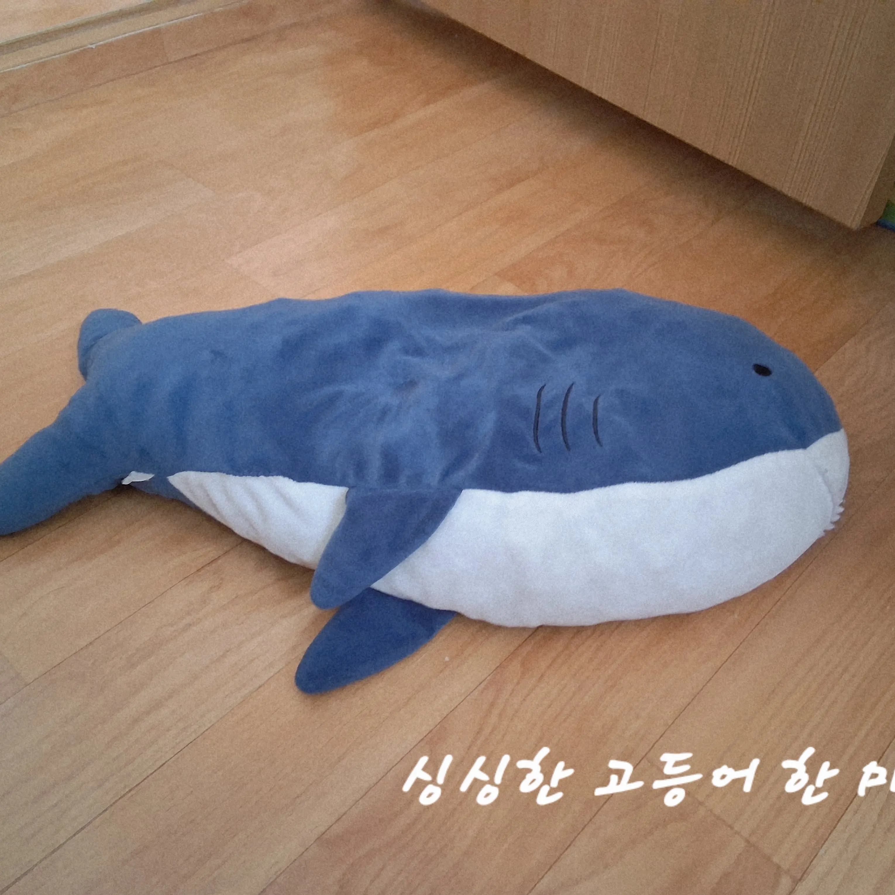 AwareFruit0024의 싱싱하이 코등어를 통조림으로 만들기