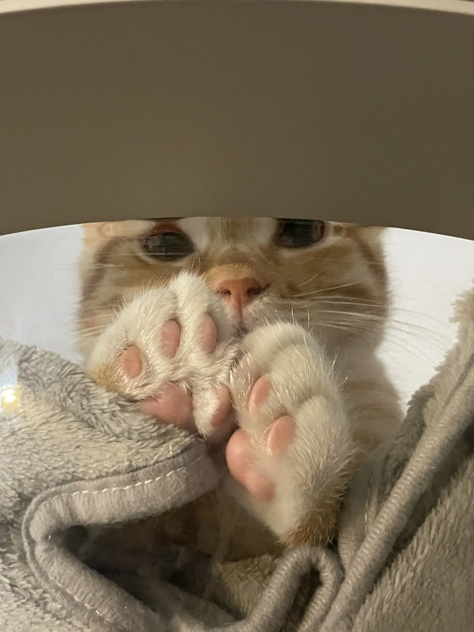 GiddyLynx3599의 유우시