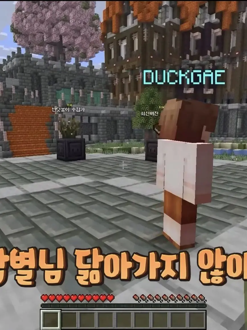 Cherry_Chupachups_Chu의 언더웹에…FOX가 있다며는??