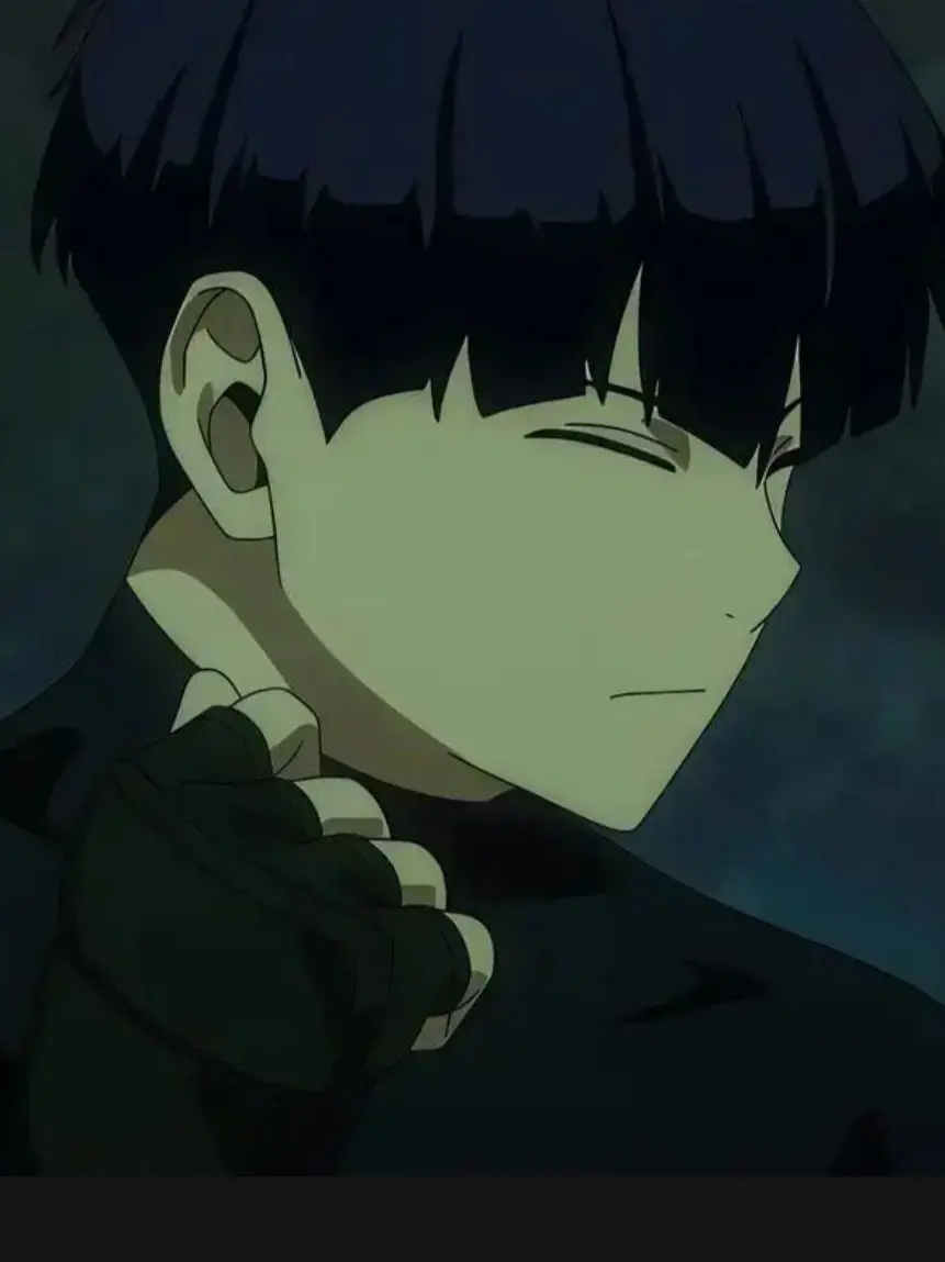 OutlawCache9735의 호시나 소우시로