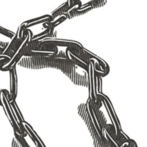 飼い慣らし／_♡