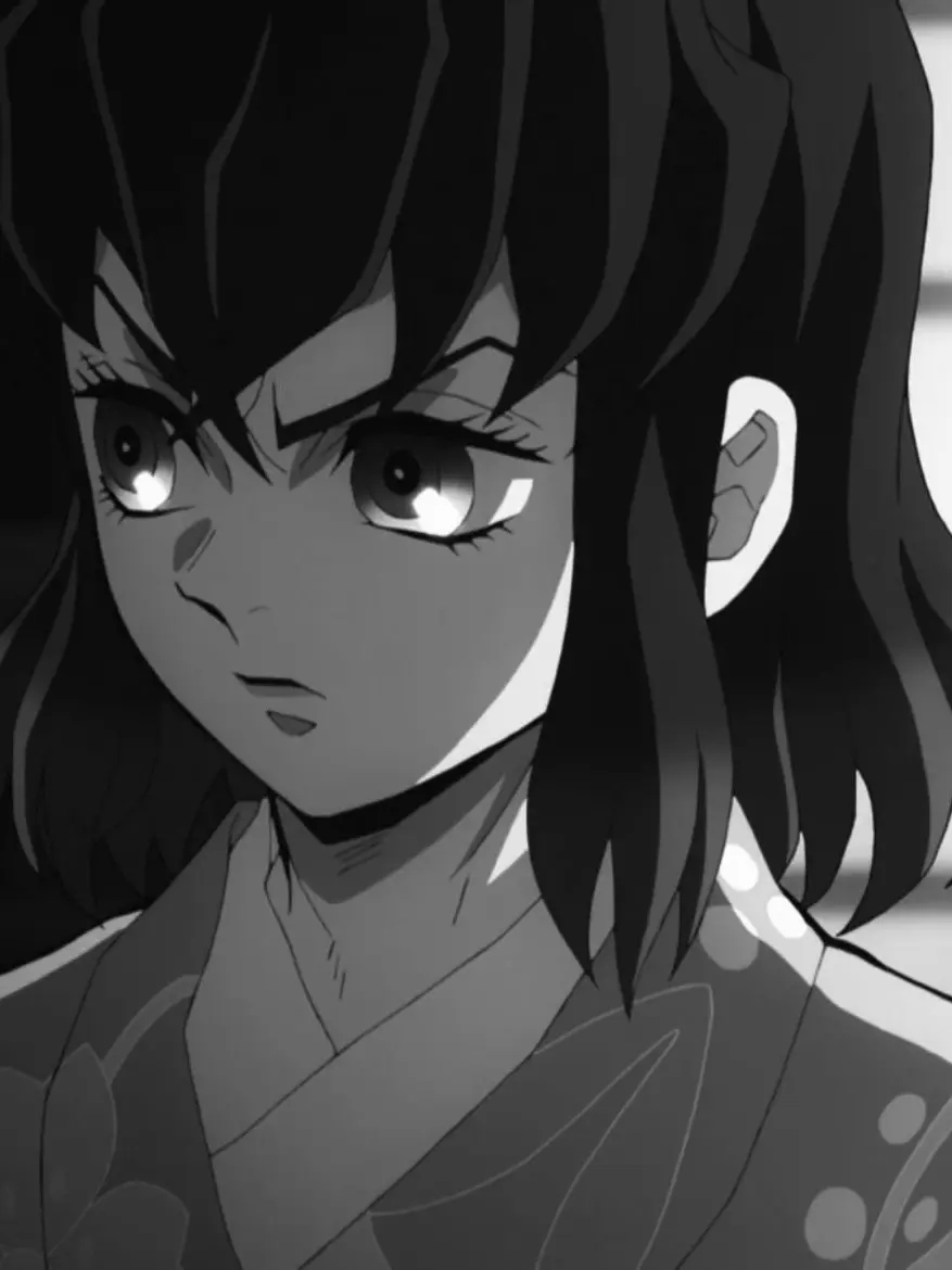 StormyTrack7739의 하시비라 이노스케