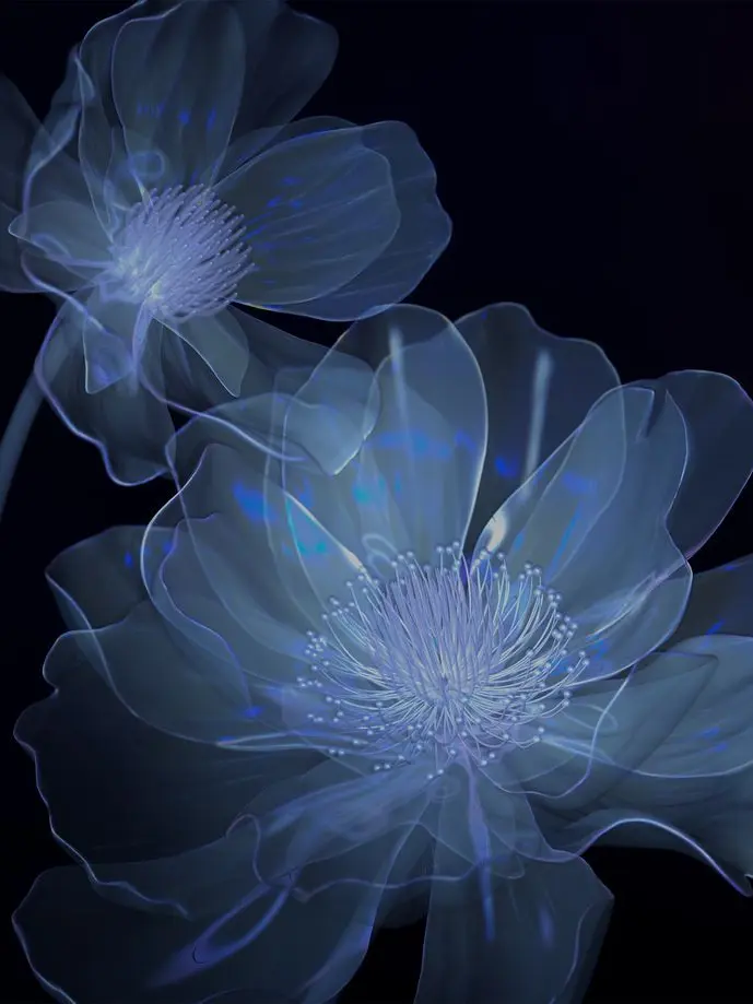 WidePanel3595의 좋아한다.