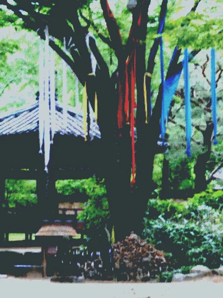 VagueHill1058의 허남준