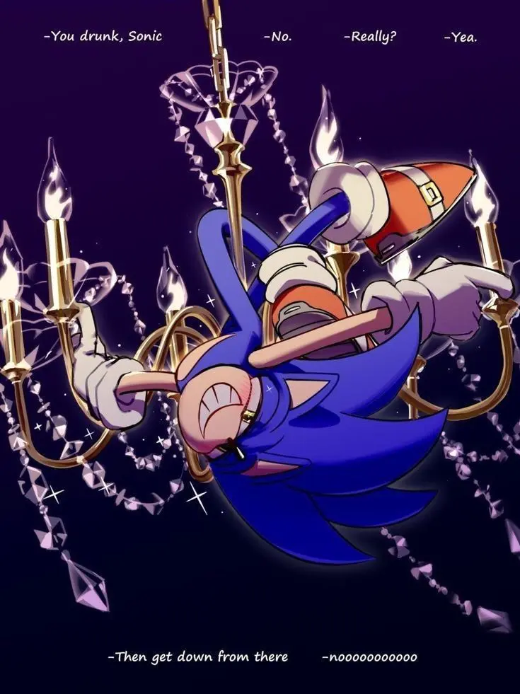 FELLOW_GOOBERS의 ✲ | Get Down From There, Sonic!