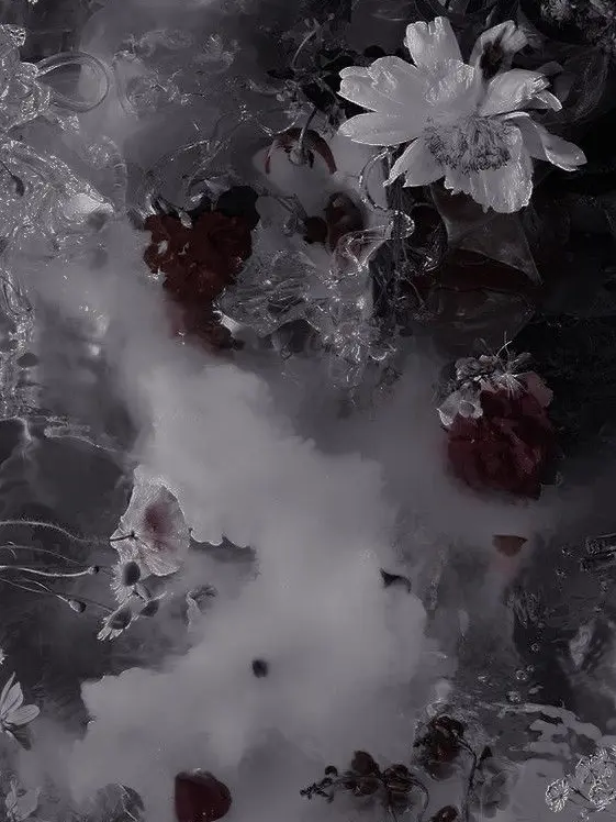 DaringTwig2735의 プランツ・ドール。