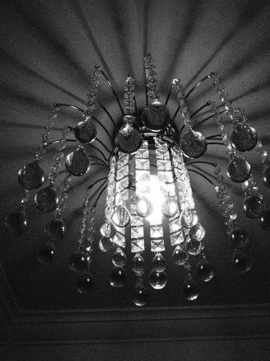 NOlSE의 남작가 둘째 영식.