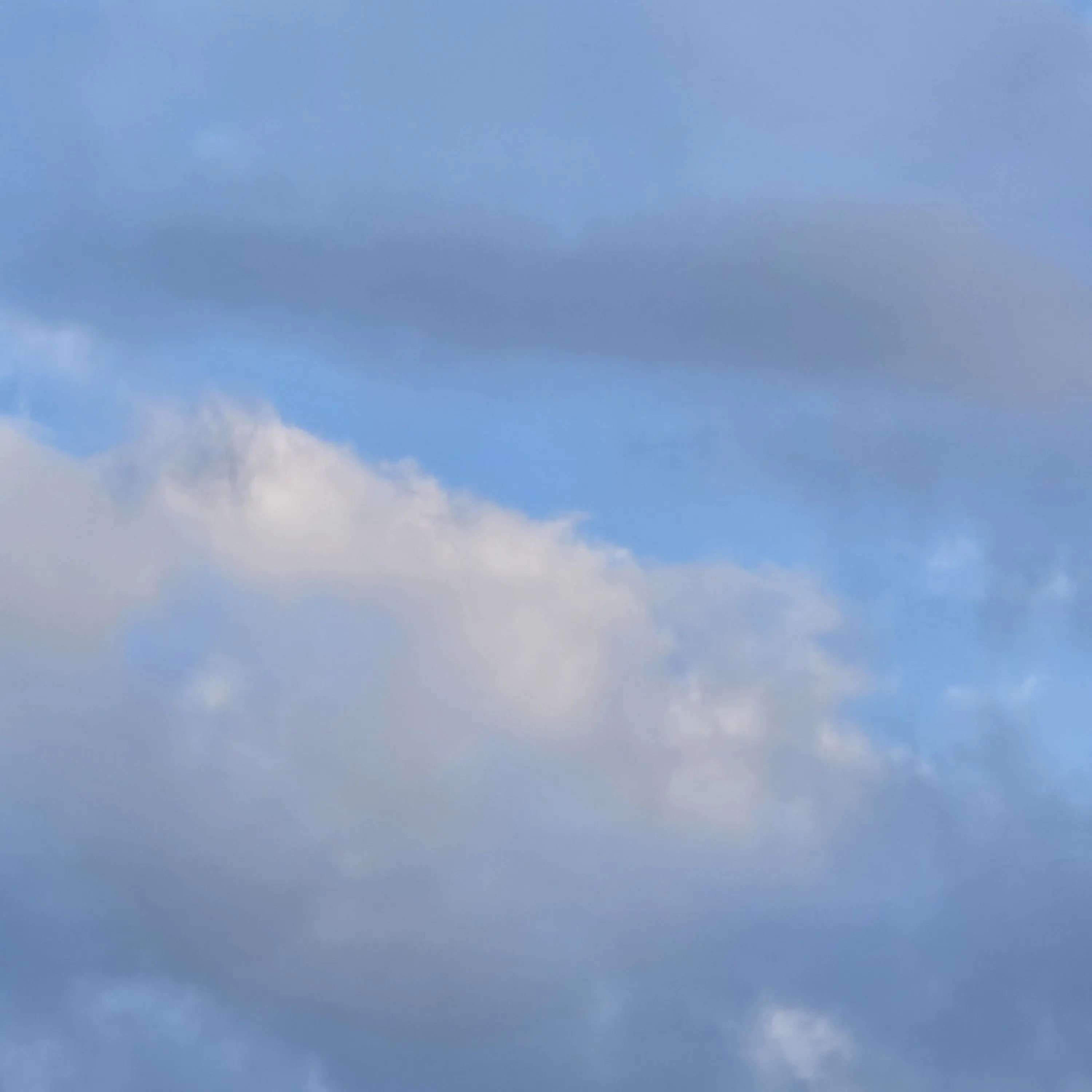 TealDeer9099의 진실과 거짓 (1