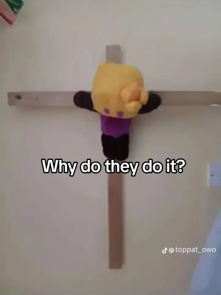 t5d4d의 "우리는 최강 코일 삼총사!"