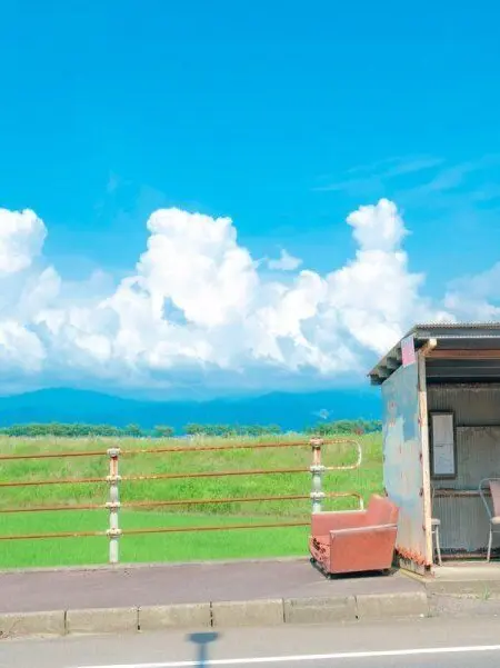 DemonSlayer._.akazalover의 도우아카