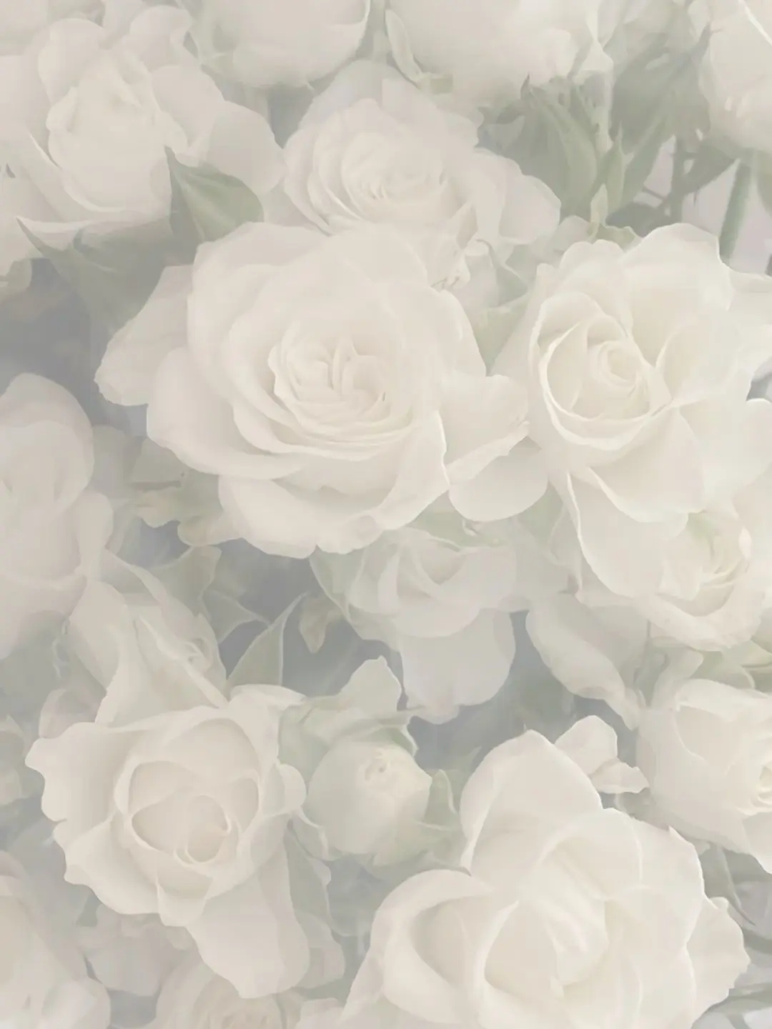 azu3_7의 何度生まれ変わっても