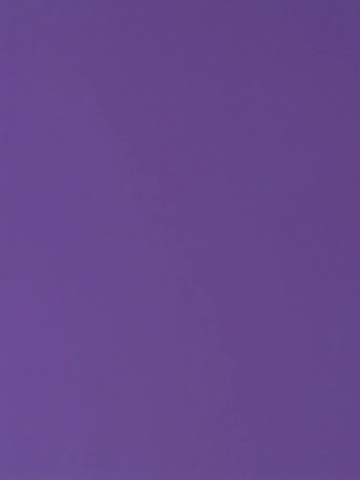 meruruton의 破天荒野郎と真面目野郎の犬です