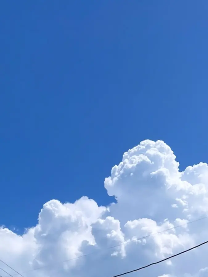 Valeria의 남궁도위