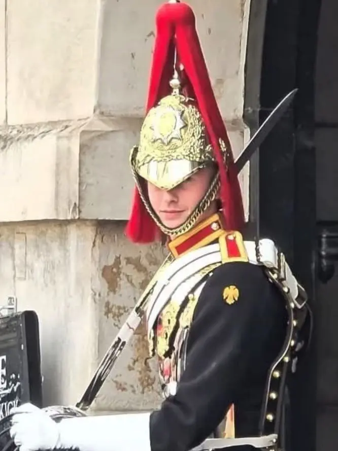 SureRuler4256의 UK royal guard