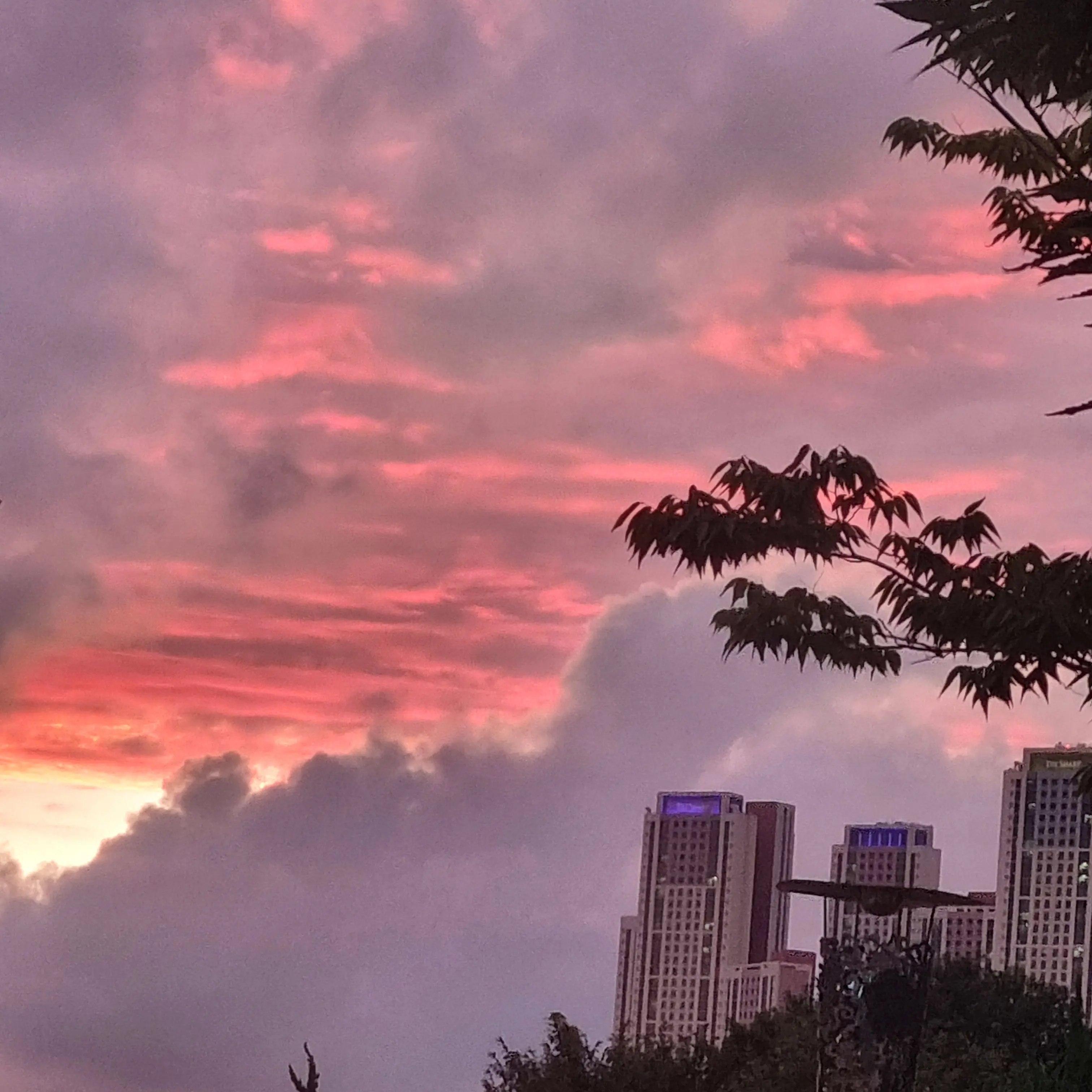 VocalTwig7712의 죽지마(개인용)