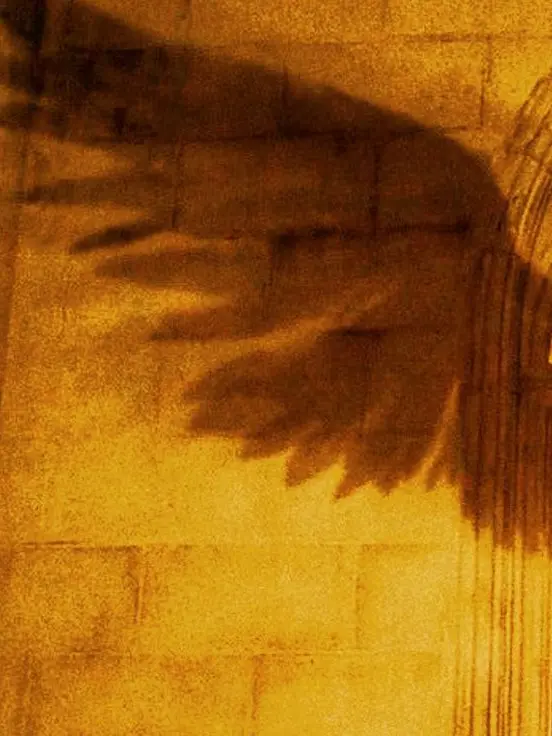 Im_yun_ilovemashle의 너와 나의 수준 차이.