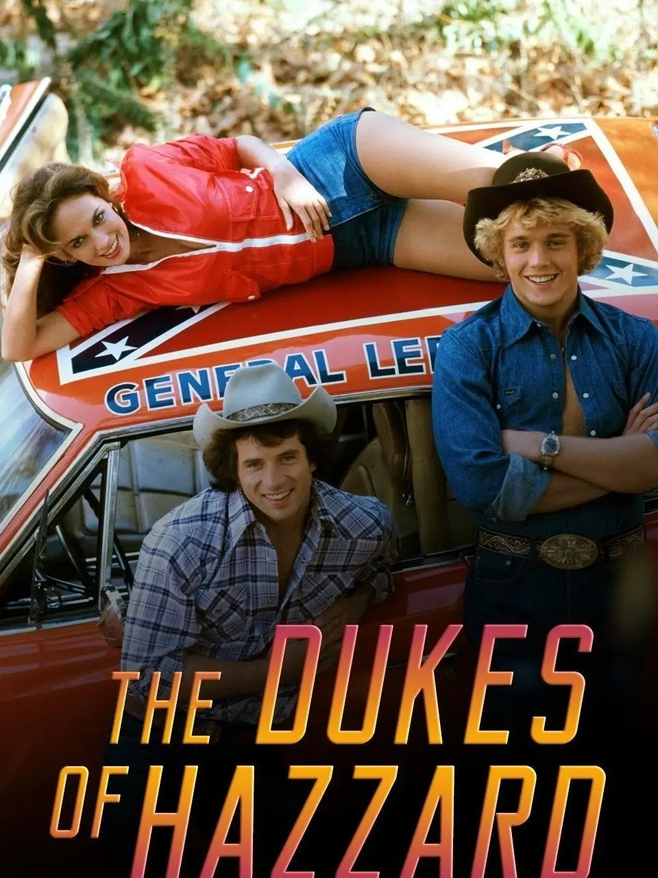 DaManBearCat의 The Dukes Of Hazzard.