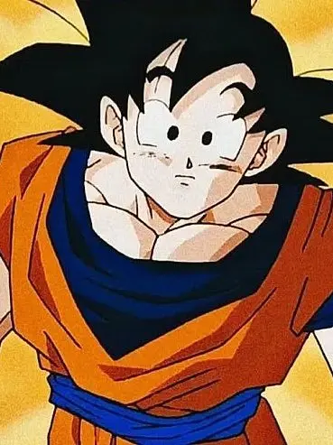 SonicSonicSonic의 손오공