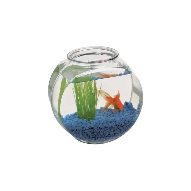 LankyGraph4007의 이하늘