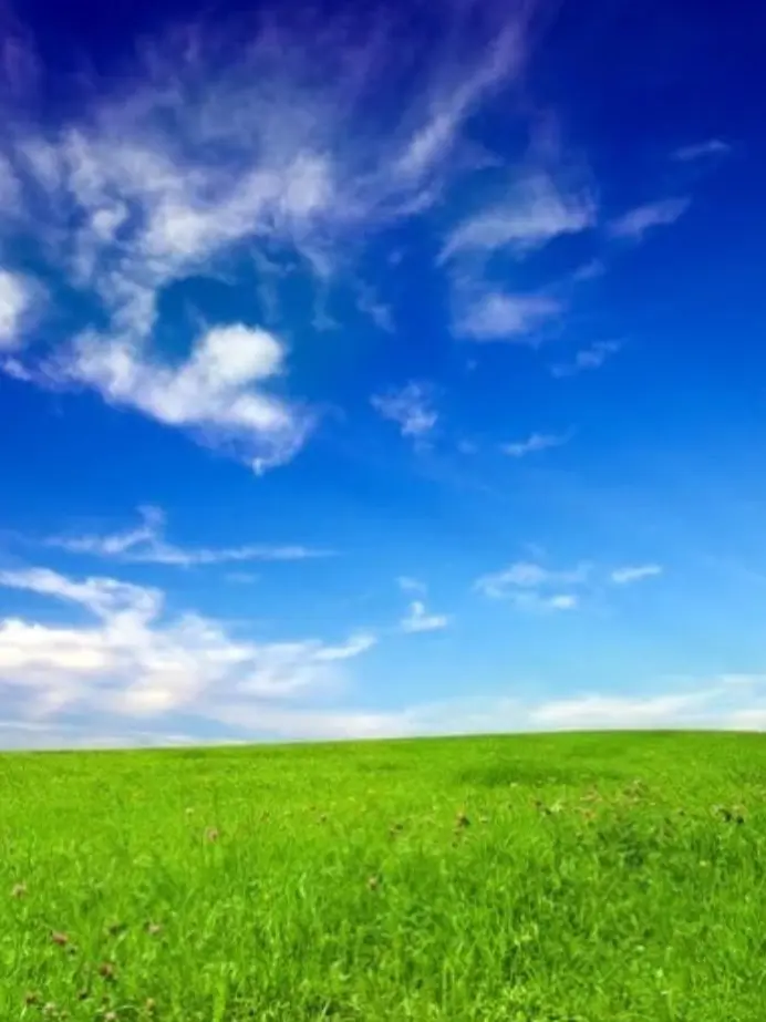 EasyTotem2764의 대만에서 만난 그녀