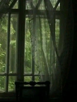 건들면 물어요-. 대표 이미지
