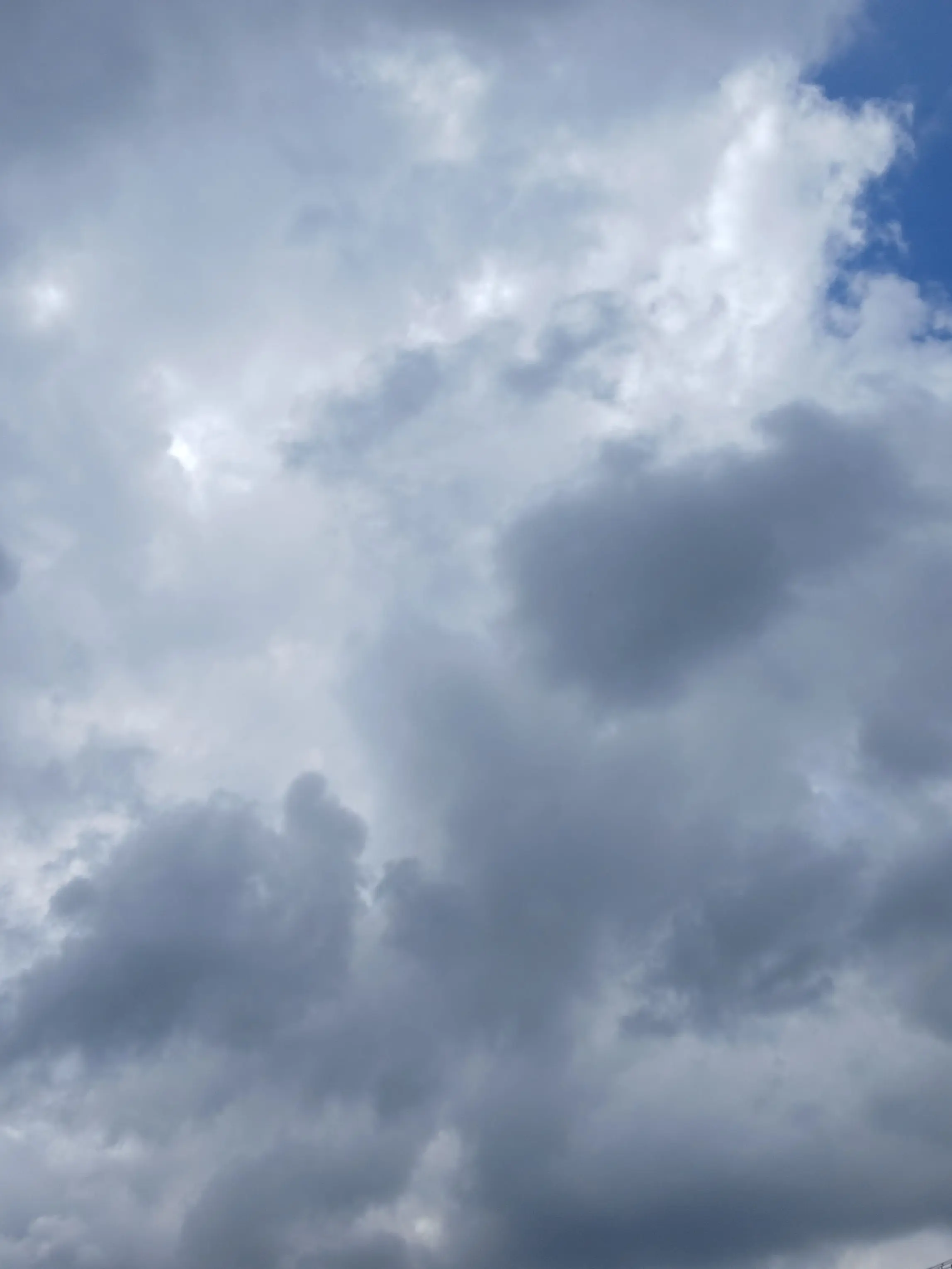 Kimistp의 .....거짓말이지?