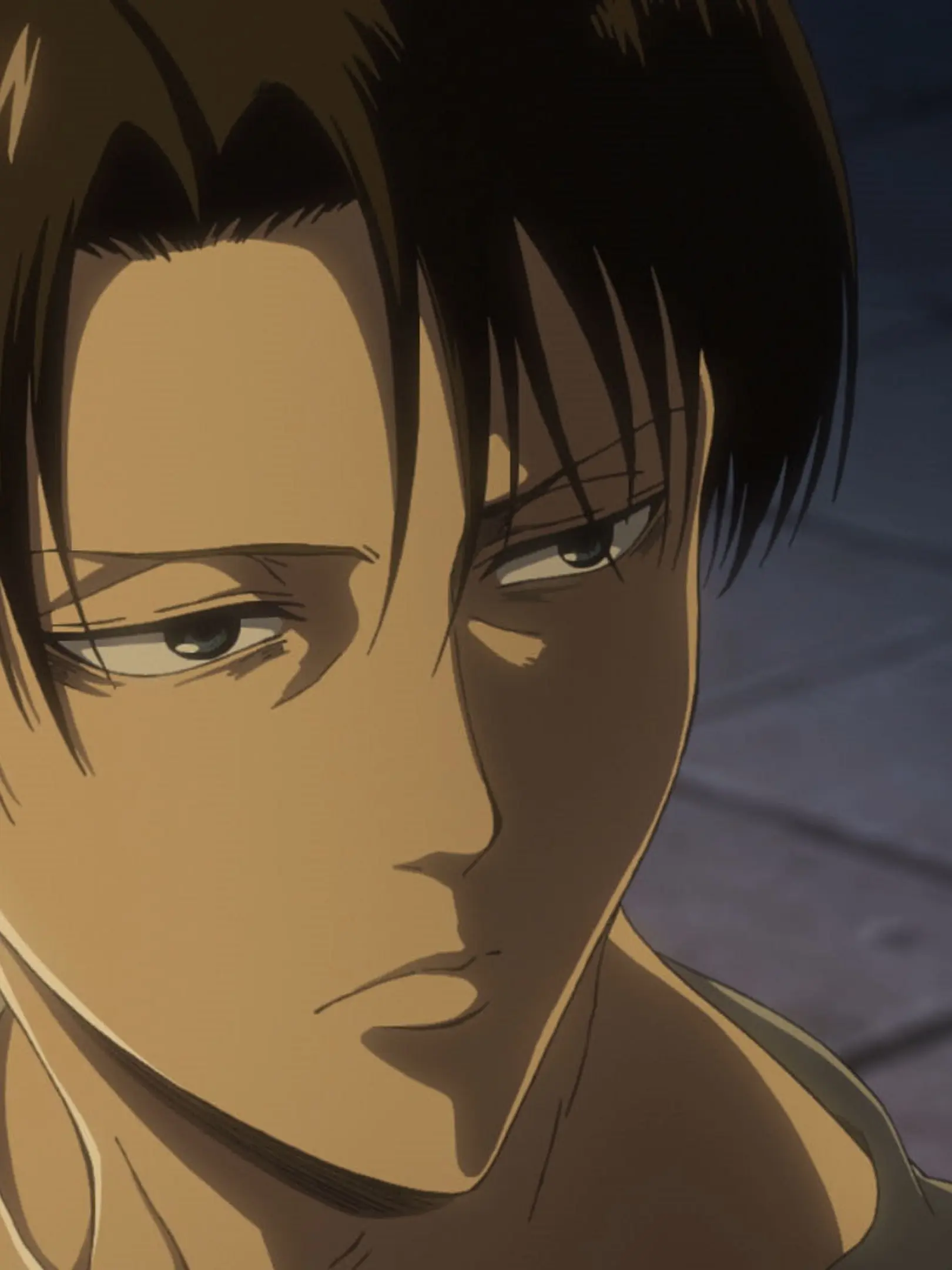 OpenTotem6324의 君の膵臓を食べたい リヴァイと貴方版