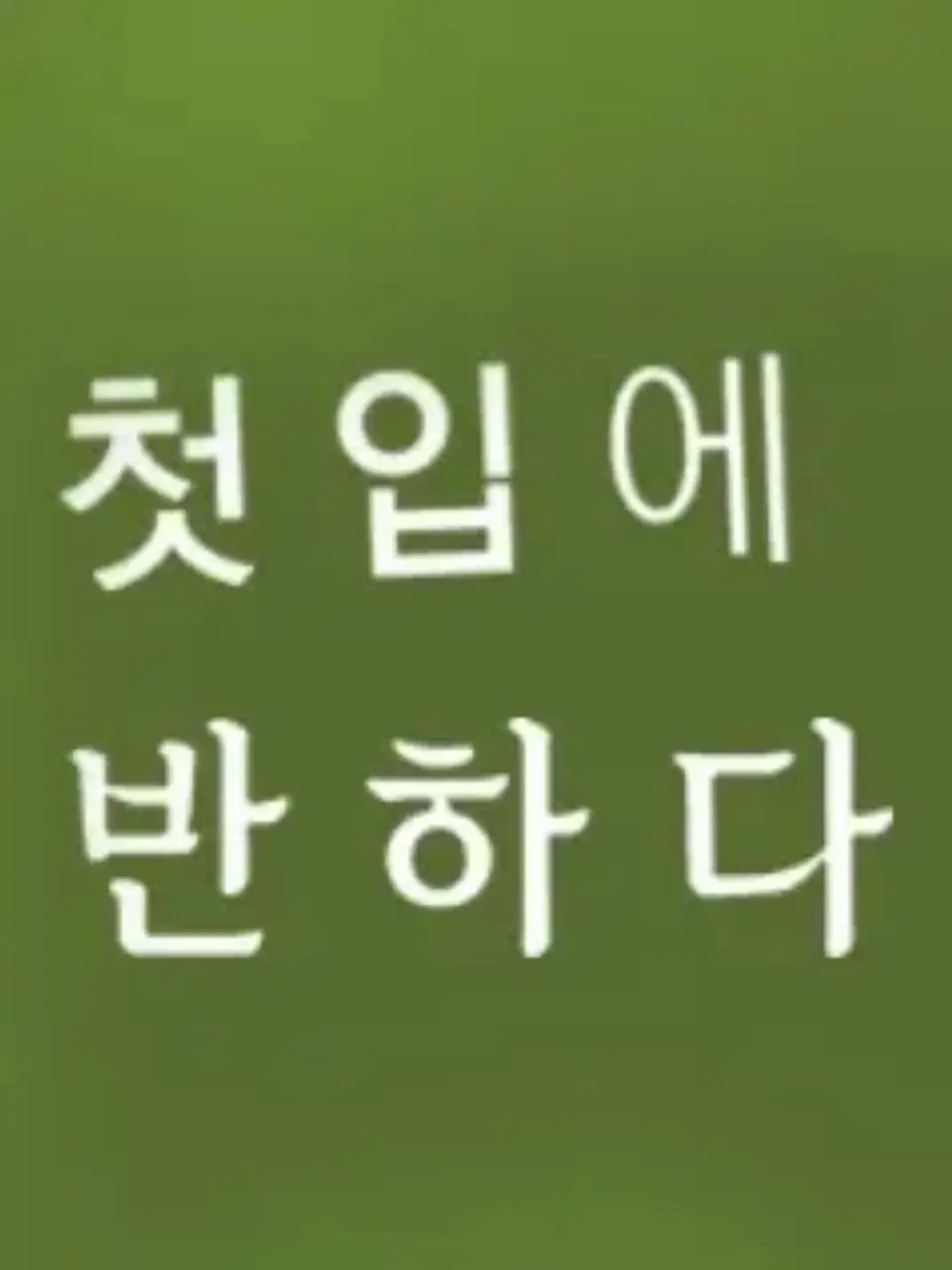 OverlyWiper4461의 첫입에 반하다