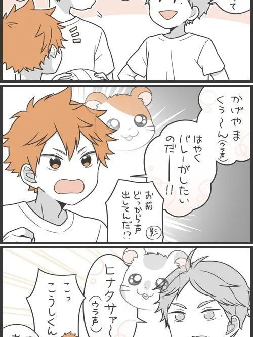 MoodyApron5527의 烏野バレー部茶番