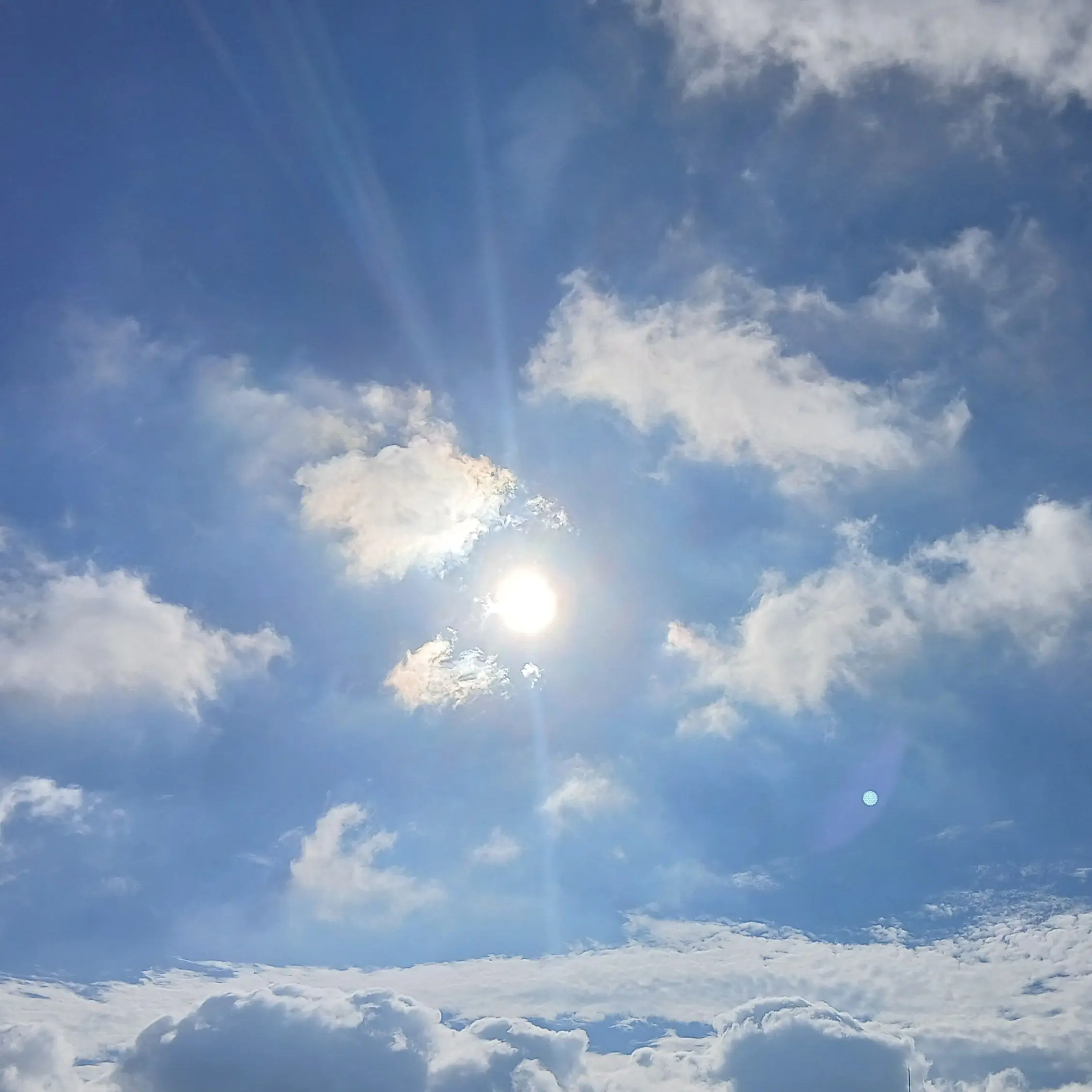 Kimistp의 Ugh! 오늘 머리 안 감은 거야~?