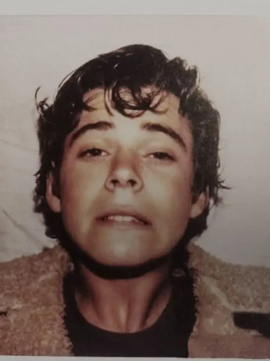 EvenDhole0826의 Ponyboy Curtis