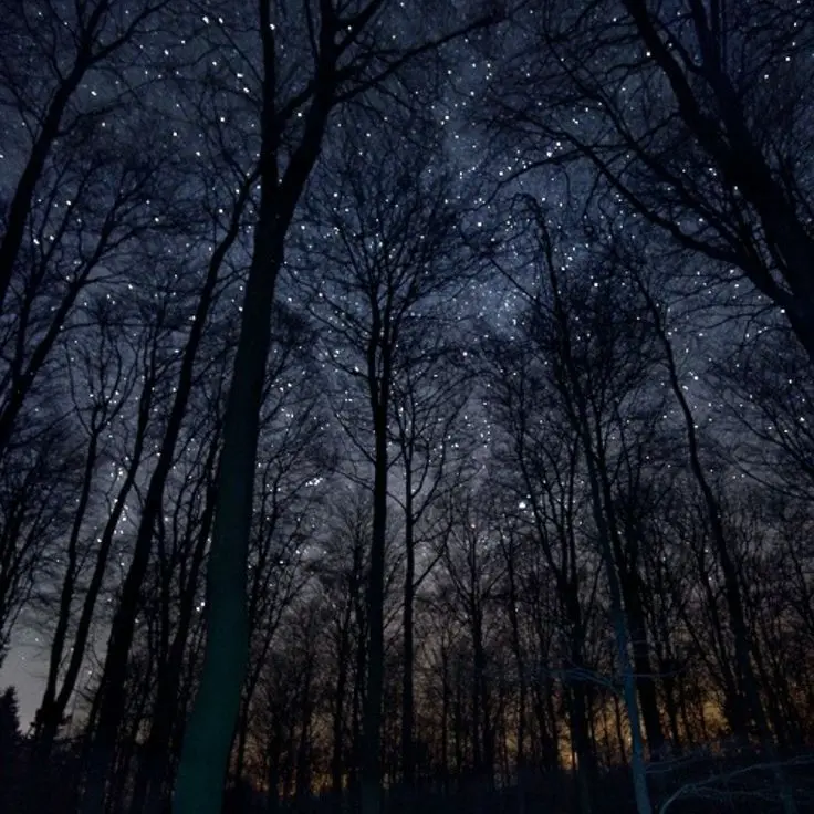 sdh1207의 뱀파이어 잭