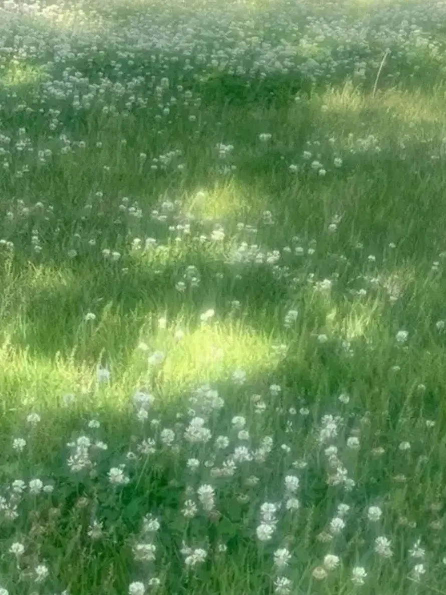 Kuankmochy12033310의 네즈코... 정신 차려...