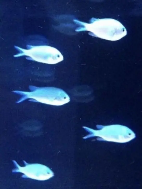 UntidyMind0580의 내 집은 너희 아지트가 아닌데..