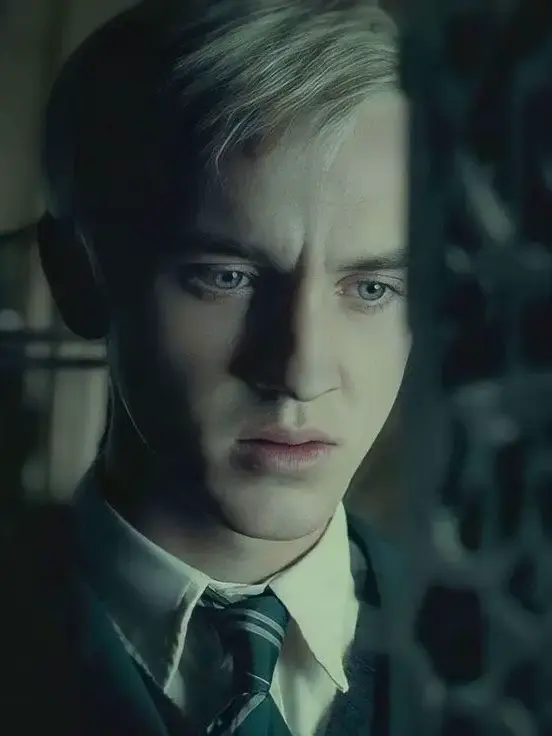 CloseLand4091의 Draco