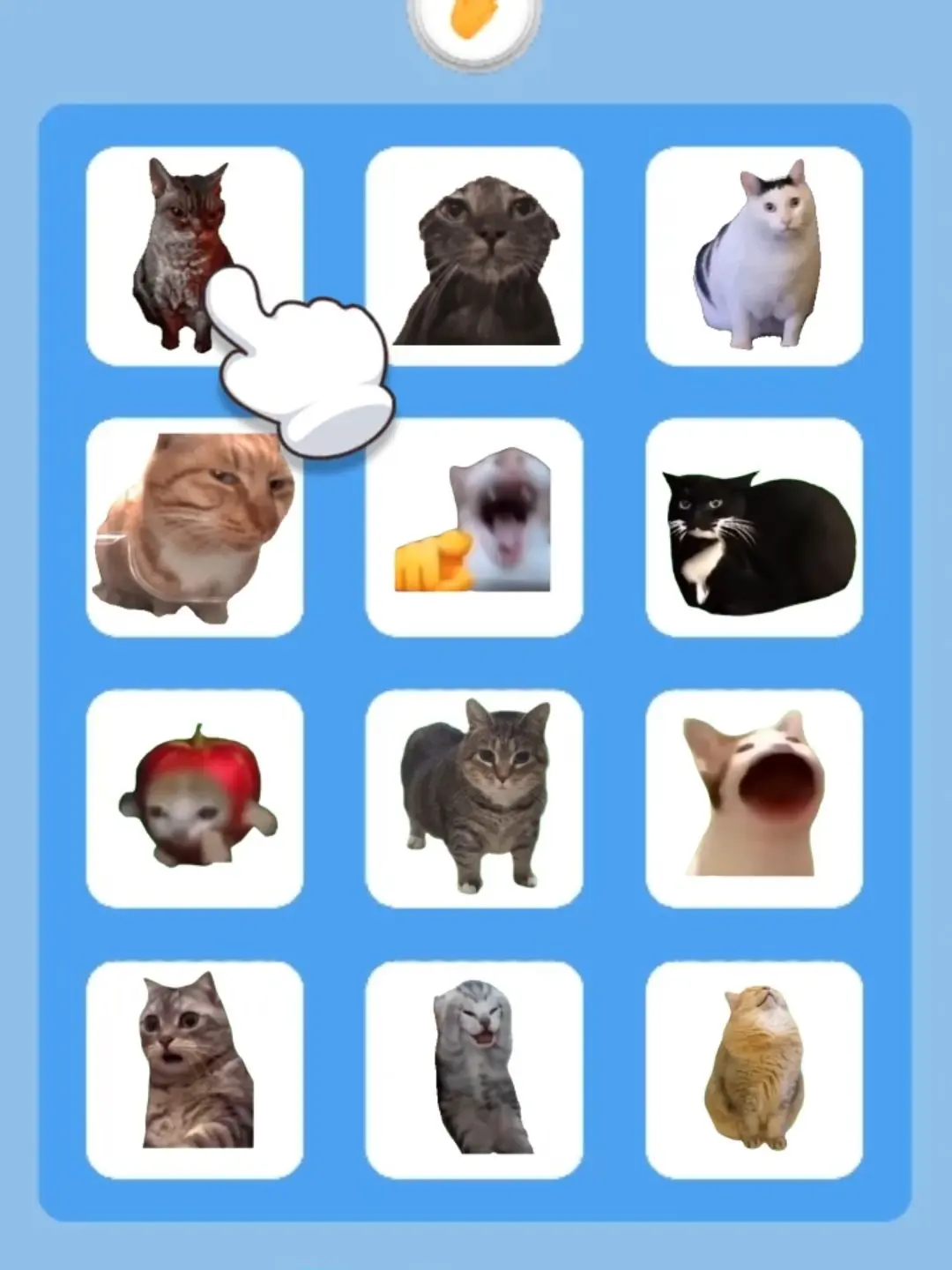 RoundBulb6236의 문의 사항