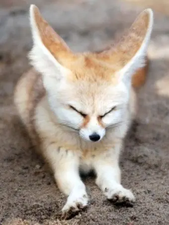 skzhanstay의 양정인