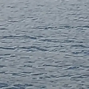 VitalPlane9955의 수경위의 아내