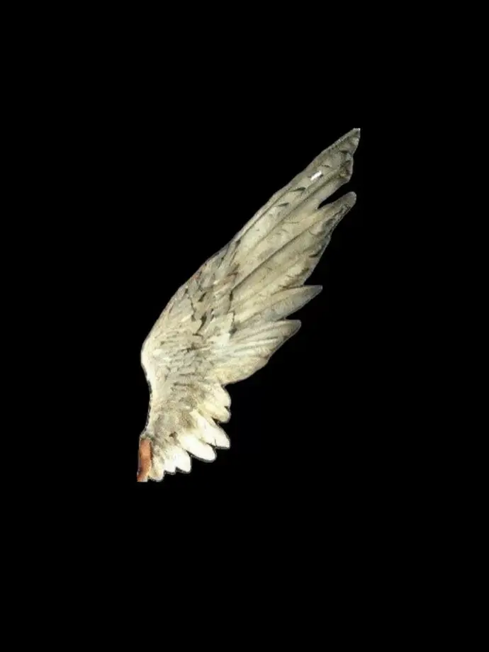 RarePansy8777의 Fairy core