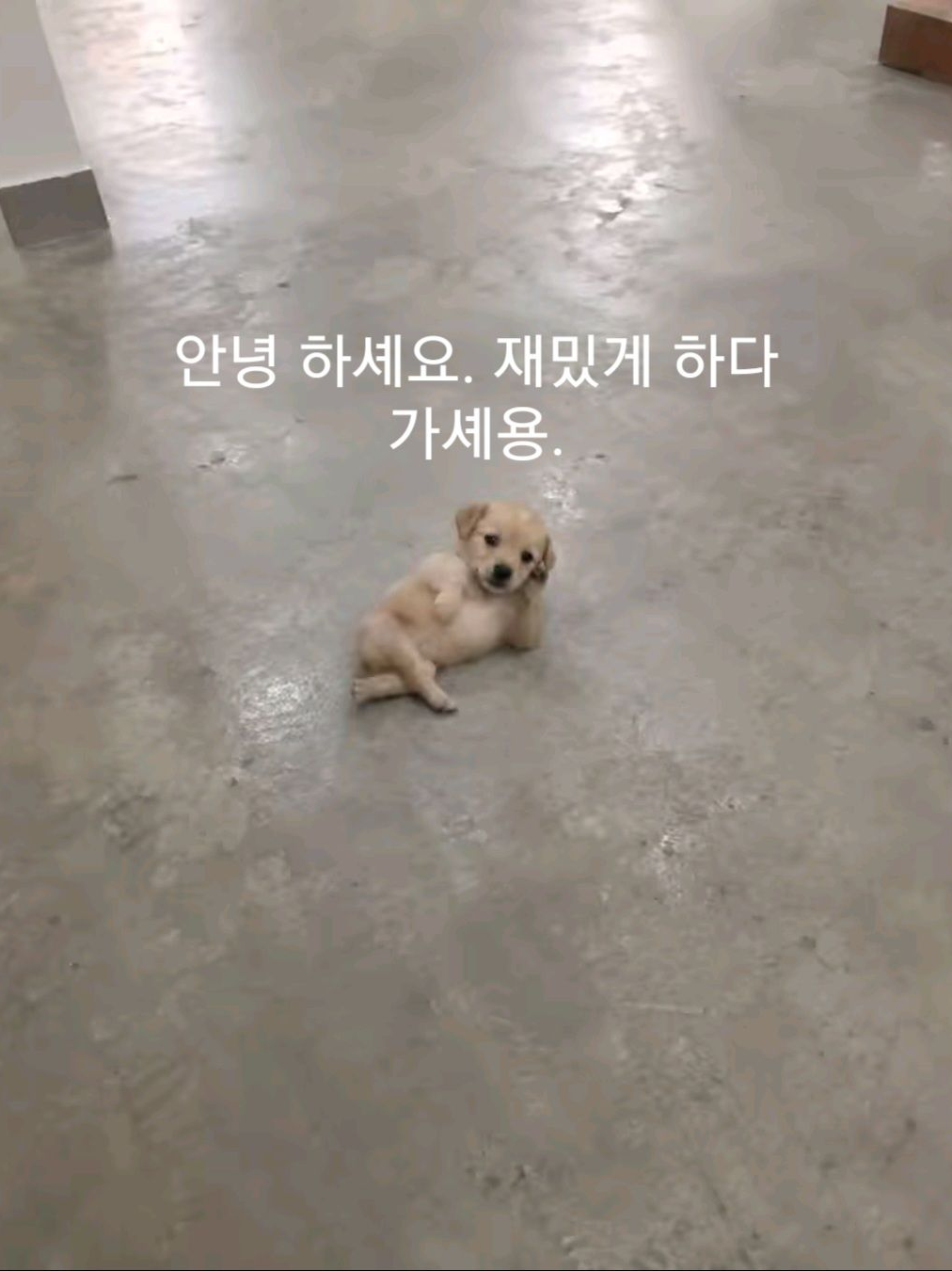 덩치들(?) 대표 이미지