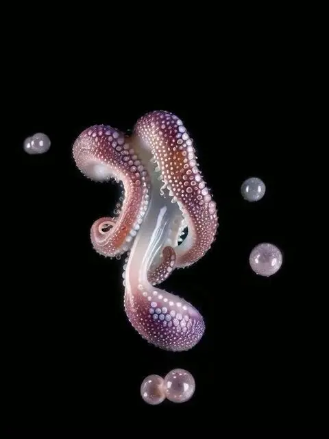 nagatoro_hayase의 Loneliness