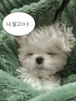 NastyMucus4391의 안녕하세요 (우참 만들어요)