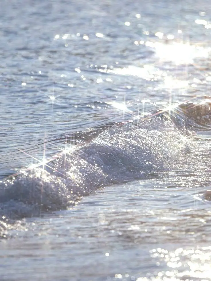 human100의 에르노