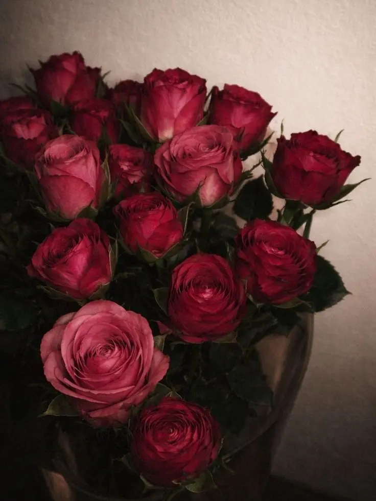 FluidLion9387의 NERVOUS TO LEAVE