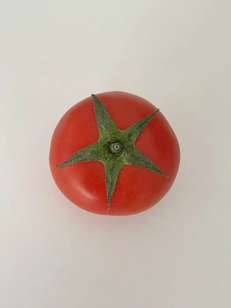 Dreamfruit__11의 겉과 속이 같은 토마토가 되어라.