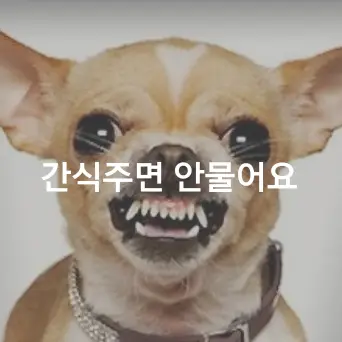 Djuejxnckk_124의 ㅇㅈ초 뽀삐반 남녀무리