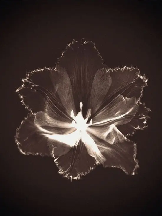 bokuto_kotaro257의 무함마드 압둘