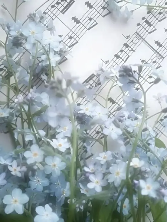 snow_.flower의 황수현