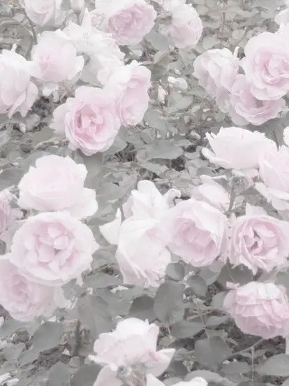 Amano_25의 ⌇  自閉症の弟 。